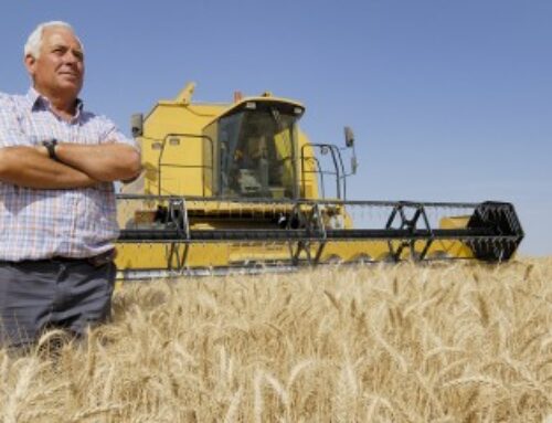 Bail rural : gare au recours à une entreprise de travaux agricoles !