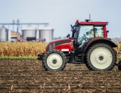 Budget 2025 : les mesures de soutien au secteur agricole