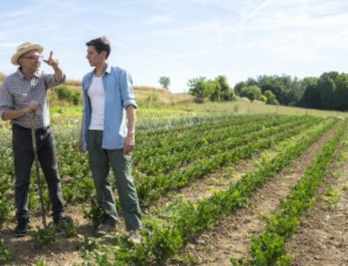 Céder son bail rural à un neveu après l’avoir adopté, c’est possible !