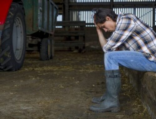 Exploitants agricoles : le dispositif de prêts structurels garantis par l’État est en place