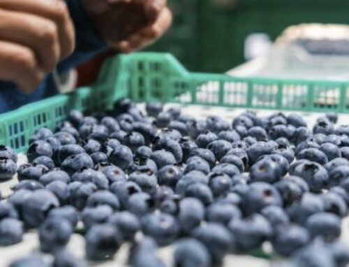 Production de fruits et légumes : produits traités au thiaclopride